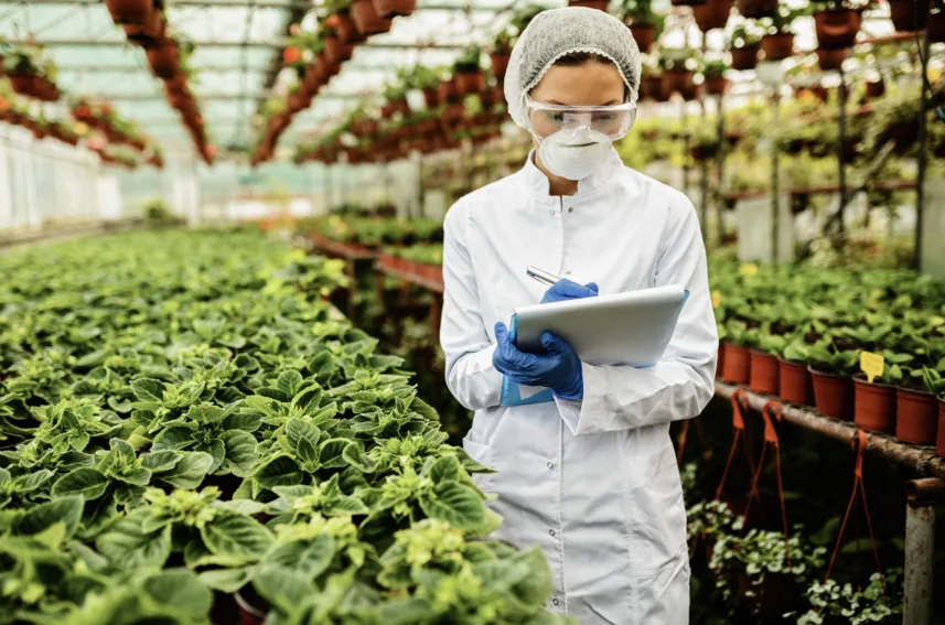 Food Safety Officer Salary